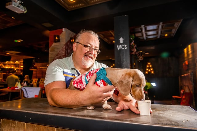 David Byers and puppy Teddy celebrated Christmas with a festive photo shoot.