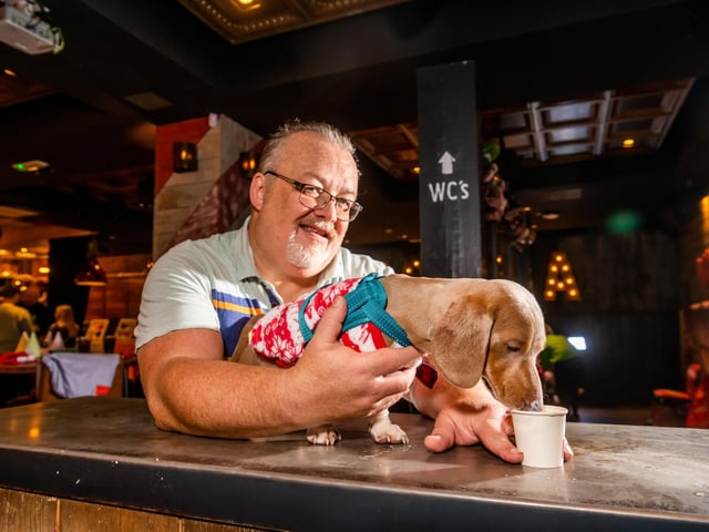 David Byers and puppy Teddy celebrated Christmas with a festive photo shoot.