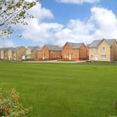 B&DWYW - 002 - A street scene at Ambler's Meadow with green open space