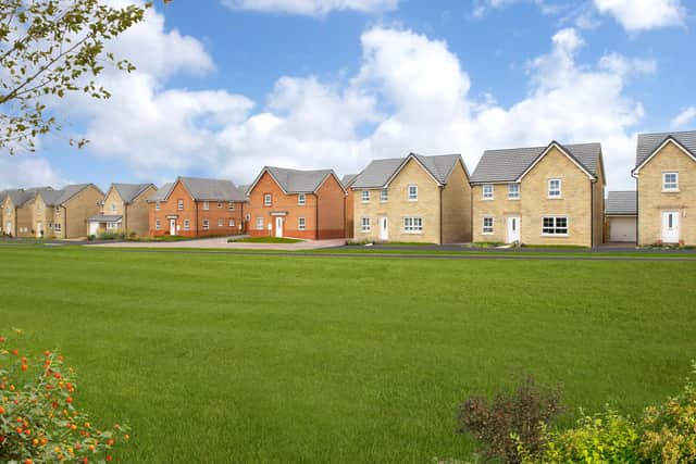 B&DWYW - 002 - A street scene at Ambler's Meadow with green open space