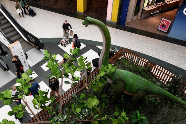 Steven Foster, Centre Director at White Rose Shopping Centre, added: “We’re sure the activities will provide hours of endless fun for the whole family, and we can’t wait to see guests tracking down and having fun with our ferocious dinos this summer.”