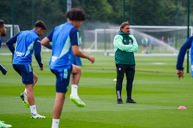 Daniel Farke's two Championship promotions with Norwich City helped convince Leeds United decision makers that he was their man.