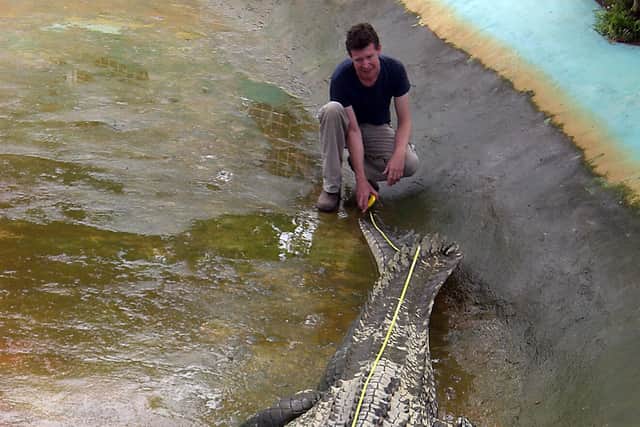 Yorkshire-born crocodile expert Adam Britton has pleaded guilty to bestiality charges in an Australian court (Photo: RICHARD GRANDE/AFP via Getty Images)