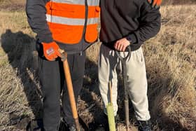 Almost 400,000 trees have now been planted across Doncaster