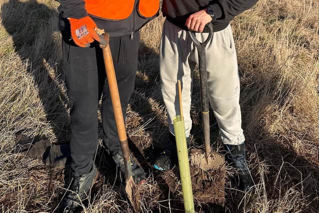 Almost 400,000 trees have now been planted across Doncaster