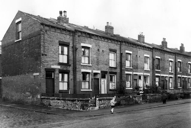 The rear entrances and gardens of through terraces fronting onto Ascot Avenue. Each house has a private garden with most containing a washing line, dustbins, or the occasional plant. A young boy and black dog walk towards each other on the pavement. Pictured in October 1966.