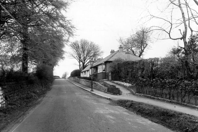 King Lane in May 1951 showing two bungalows. The second is much older and believed to be a crofter's cottage. Both have since been demolished. Going north, the next turning on the left is Stairfoot Lane (the road to Adel).