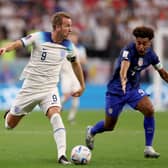 JOY FOR BOTH? Harry Kane, left, with England, and Leeds United's Tyler Adams, right, with the USA, are both looking to take their nations into the Qatar World Cup last 16 tonight. Photo by(Photo by Elsa/Getty Images)