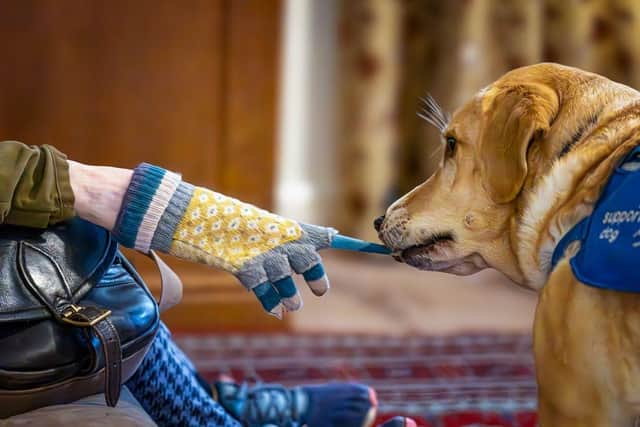 Chess is helping Molly to live independently