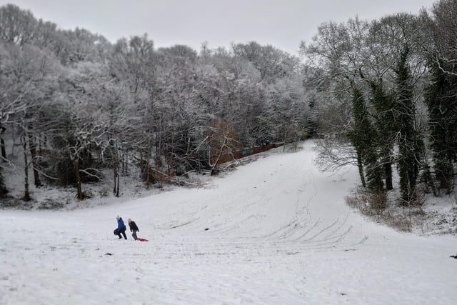 Wetherby Road Hill in Roundhay Park is the perfect slop for sledging. It's located on the south bank of Waterloo Lake.