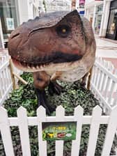 T-Rex at Carlton Lanes Shopping Centre