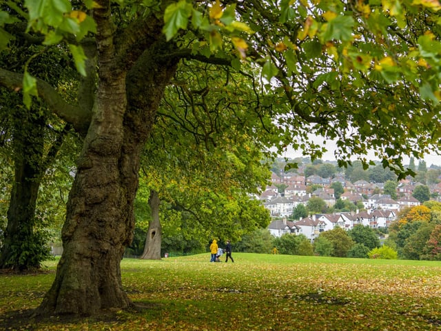 Gledhow Valley Woods is a gorgeous woodland running about 1.5 km through Chapel Allerton. There are plenty of trails to keep keen walkers occupied, plus a gorgeous stream called Gledhow Beck flowing along the valley.