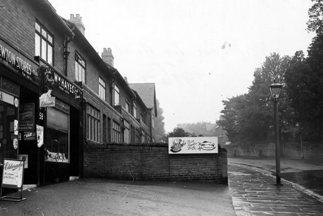 Harehills Lane in August 1953. This view shows  'Newtons Grocers' and 'W. Hayes fish, poultry, fruit and flowers'.