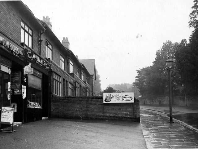 Harehills Lane in August 1953. This view shows  'Newtons Grocers' and 'W. Hayes fish, poultry, fruit and flowers'.