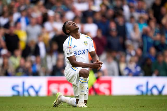 DIFFERENT CASE - Daniel Farke has ruled out comparisons between Willy Gnonto and Luis Sinisterra's Leeds United situations but neither are training with the team.