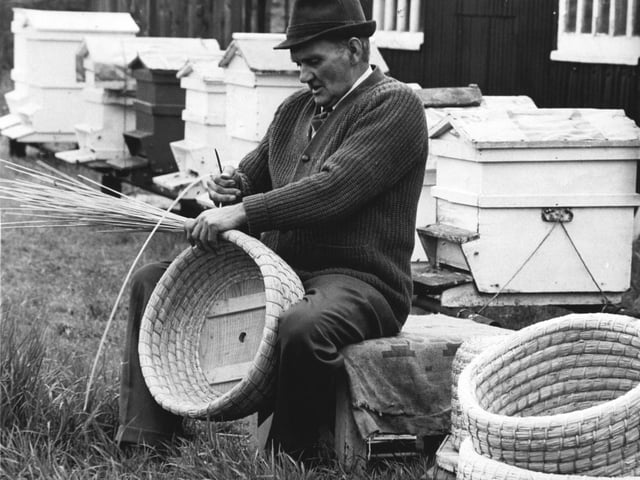 John Skaife weaves one of the traditional skeps for keeping bees - an old and dying craft. He is pictured in May 1970.