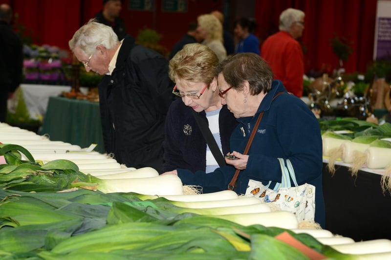 Sunderland Annual Horticultural Show at the Seaburn Centre in 2014. Are you in this photo?
