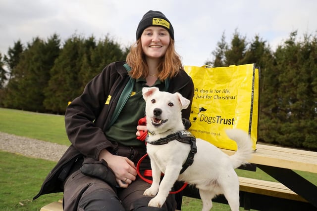 The team at Dogs Trust Leeds have been very busy this month. So far in February they have seen 55 dogs leave the centre to start their new lives in their forever homes. It’s been a complete mix of dogs of all shapes, sizes and ages, the youngest being only 12-weeks old, and the oldest 16-years-old!