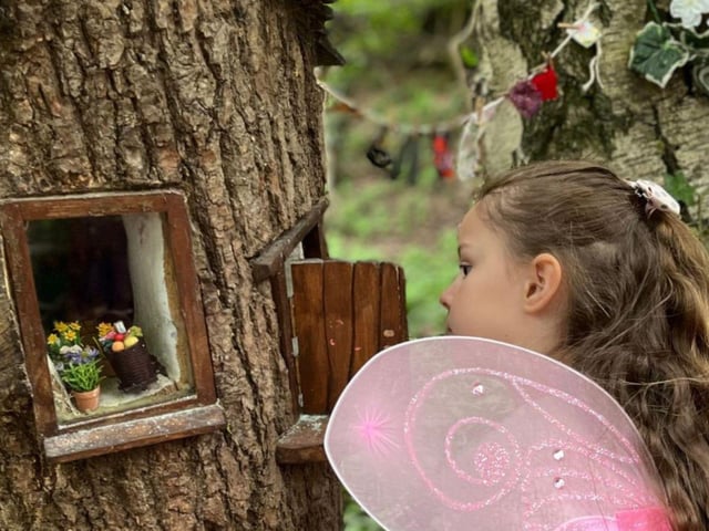 Discover tiny fairy folk houses in the Enchanted Fairy Forest