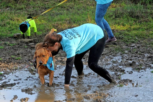 A few dogs needed a bit of moral support as they began to tire.