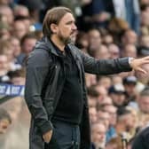 Leeds United chief Daniel Farke.