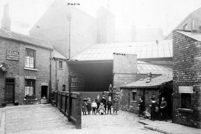A yard at the end of Leeds Terrace, with properties on the left, including C. E. Lowe, joiner, shopfitter and undertaker, and George E Hartley, furniture dealer, backing onto Albert Grove. The large properties in the background on the right face on to North Street. A number of children in period dress are posing for the camera. Pictured in August 1902.