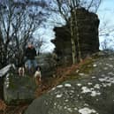 Marsha Barrett stops to take in the view on a walk with her dogs Holly and Bonnie at Brimham Rocks, near Pately Bridge