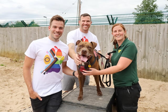 The rehoming centre received a special visit from a celebrity couple as Keegan Hirst, the first openly gay professional British rugby league player, and Joel Wood, a popular YouTuber and voiceover artist, popped in to help celebrate Pride Month. They were given a behind the scenes tour of the centre, where they had the opportunity to meet and interact with the rescue dogs.