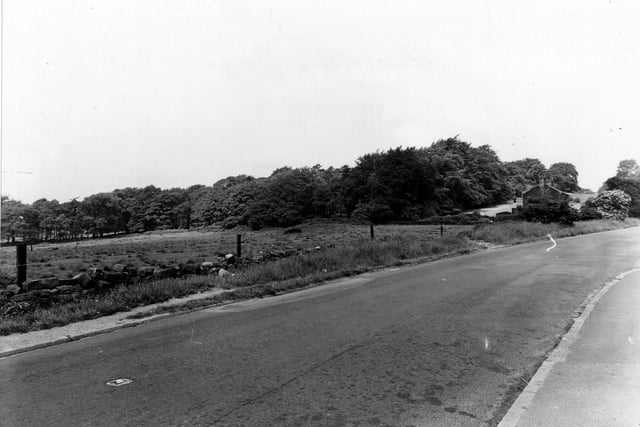 King Lane in July 1951 from the bottom of The Avenue, with rough pasture and woods in the Adel Crags area in the background. Adel Crags is sometimes referred to as Alwoodley Crags.