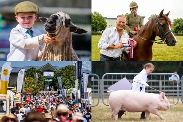 We take a look at 15 incredible photos from the third day of the Great Yorkshire Show 2026 in Harrogate