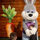 Stockeld Park Easter