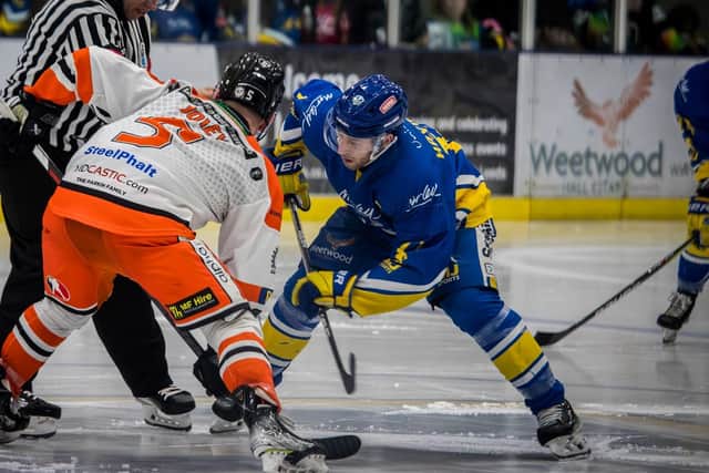 GAME ON: Matt Haywood, in action against Sheffield Steeldogs last season. Picture: Jacob Lowe/Knights Media.