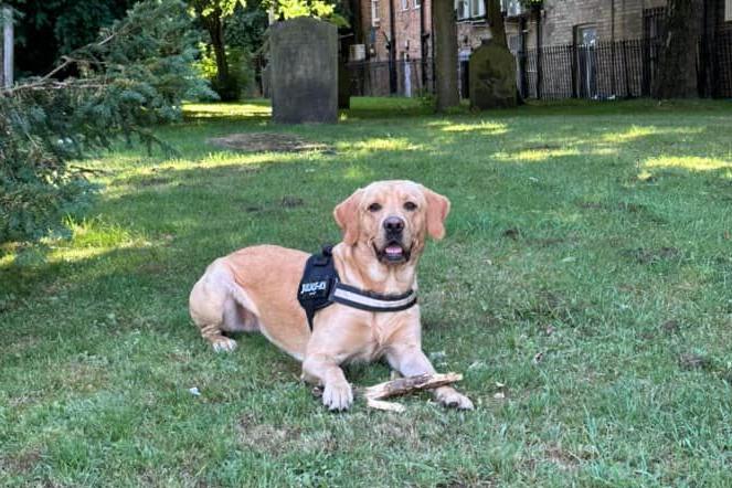 Aden Holmes said: "My mischievous little man, but I love him to bits ."