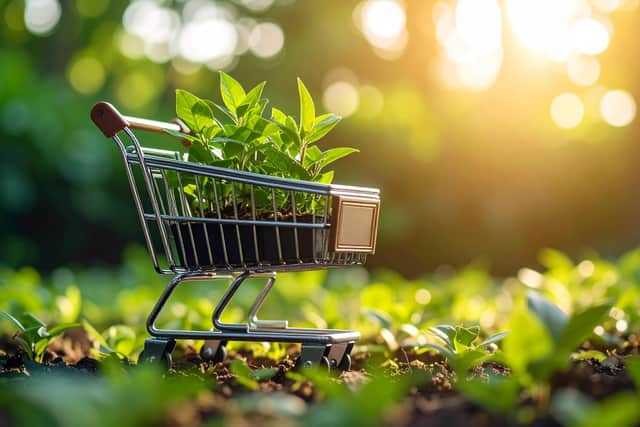 Buying ethical goods (photo: adobe)