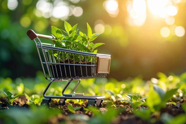 Buying ethical goods (photo: adobe)