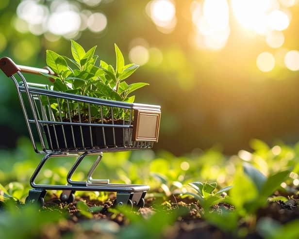Buying ethical goods (photo: adobe)