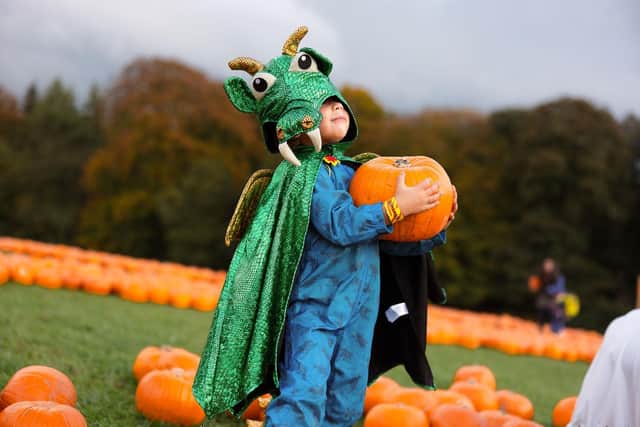 Halloween at Stockeld Park