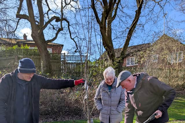 Residents Betty and Paul help put the trees in the ground