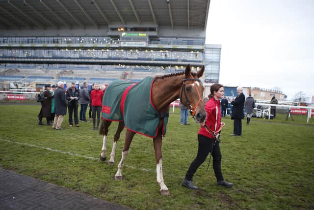 Beep Beep Burrow at Doncaster Racecourse. Picture by Louise Pollard.
