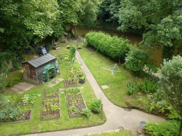 A meticulously tidy kitchen garden, with handy shed.