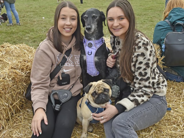 Dogs of all breeds were on show at Harewood House.