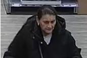 Images of 18 people have been released who officers are keen to identify and speak to in connection with the thefts.