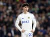 Leeds United's Archie Gray makes Liam Millar admission and declares England or Scotland intent