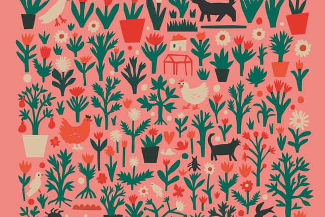 YSP new show