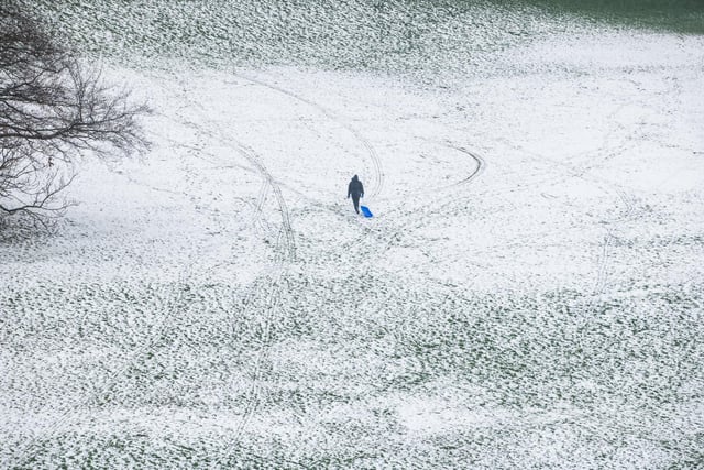A boy pictured sledging in Roundhay Park, Leeds.
