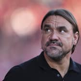 Daniel Farke has won promotion from the Championship twice with Norwich City (Photo by Maja Hitij/Getty Images)