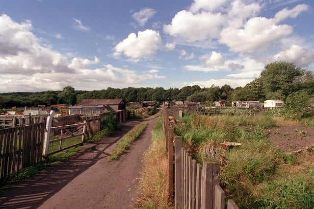 The allotments in Allerton Bywater pictured in July 1998.