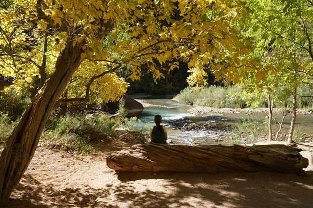 Relaxing in nature