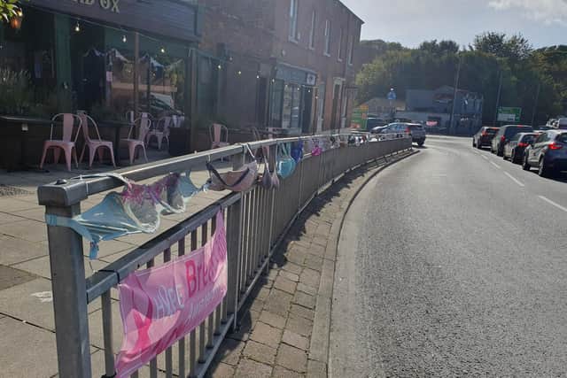 Pontefract and District Breast Cancer Support Group members hung around 1,500 bras on railings and in shop windows in and around the town centre at the start of October.