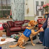The funding means the charity can help more people like June James, pictured with her disability assistance support dog Lawson